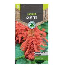 Семена Тимирязевский питомник цветы сальвия Скарлет (алая) 0,1 г